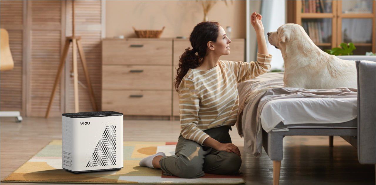 YIOU Air Purifier